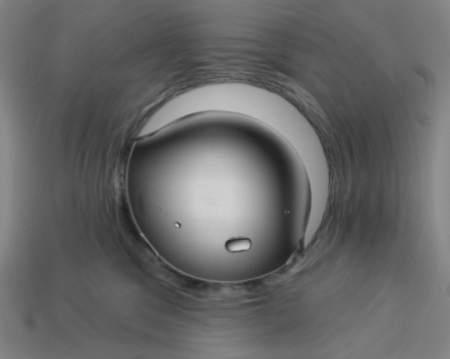 X0000113340329200910061003