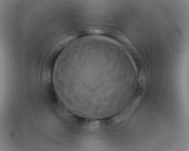 X0000113340330200910061003