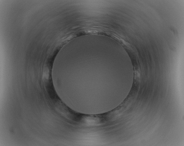 X0000113340331200910061003