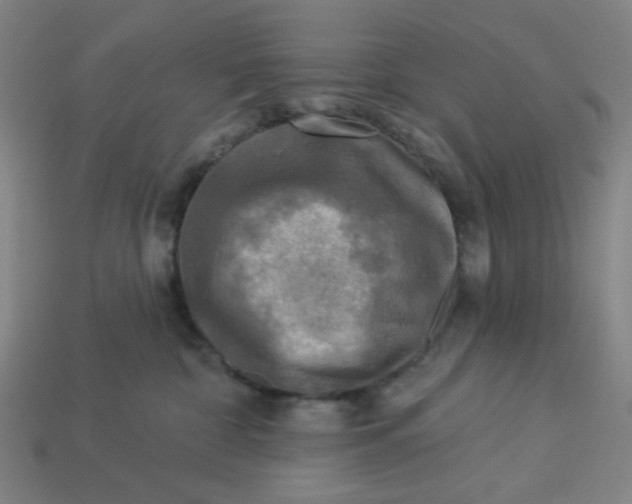 X0000113340332200910061003