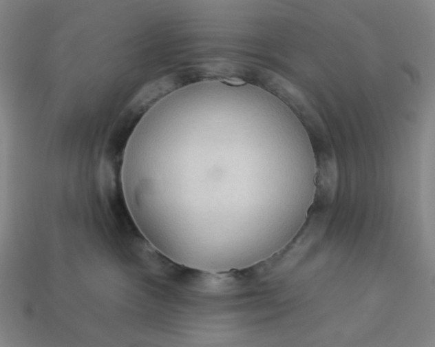 X0000113340333200910061003