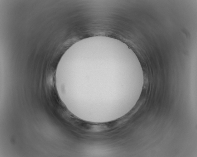 X0000113340334200910061003