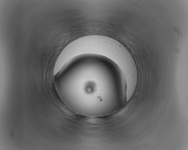 X0000113340336200910061003