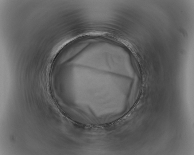 X0000113340337200910061002