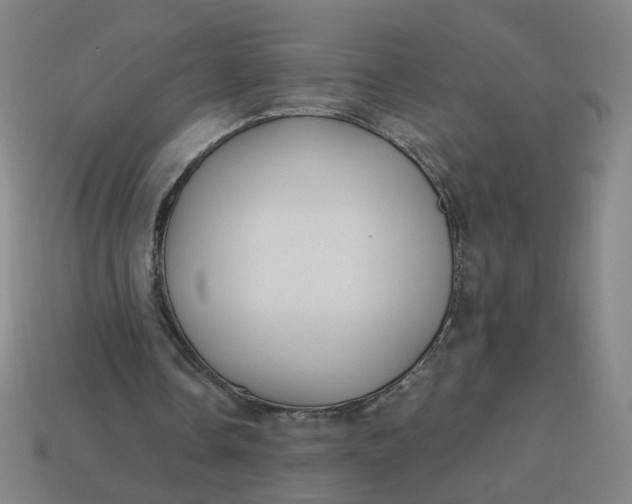 X0000113340338200910061002