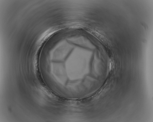 X0000113340339200910061002