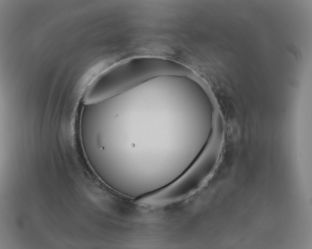 X0000113340340200910061002