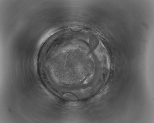 X0000113340341200910061002