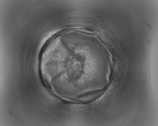 X0000113340342200910061002
