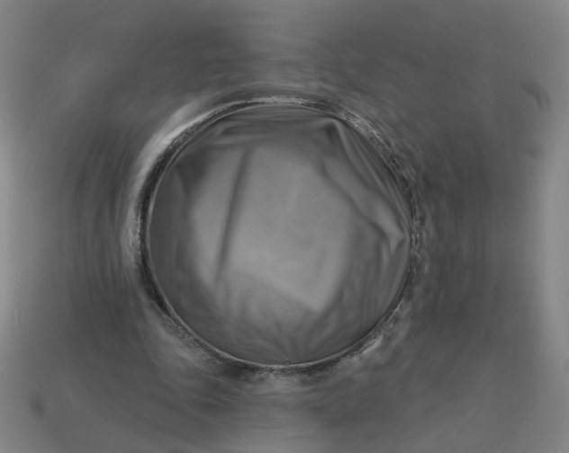 X0000113340343200910061002