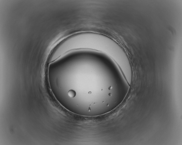 X0000113340344200910061002