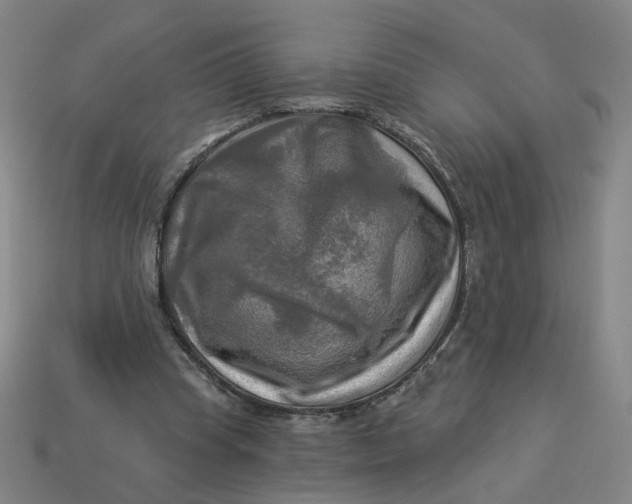 X0000113340345200910061002