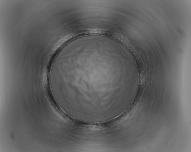 X0000113340347200910061002