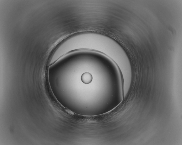 X0000113340348200910061002