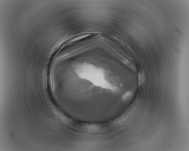 X0000113340349200910061002