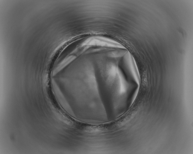 X0000113340351200910061002