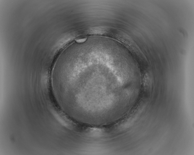 X0000113340352200910061002