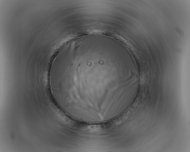 X0000113340353200910061002