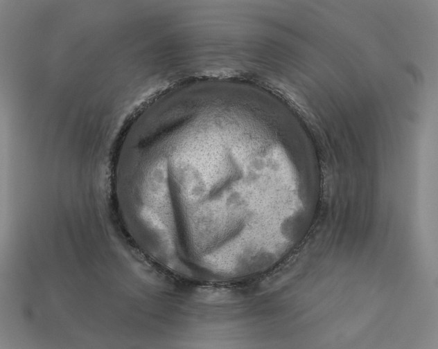 X0000113340354200910061002