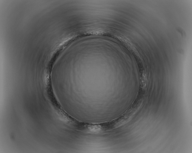 X0000113340355200910061002
