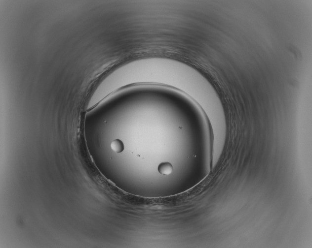 X0000113340356200910061002