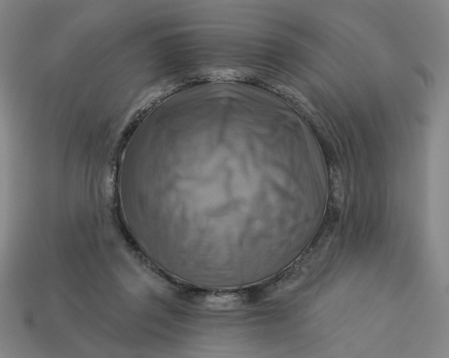 X0000113340357200910061002