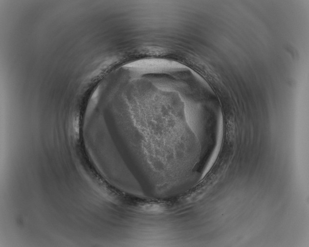 X0000113340358200910061002