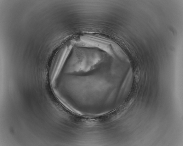 X0000113340359200910061002