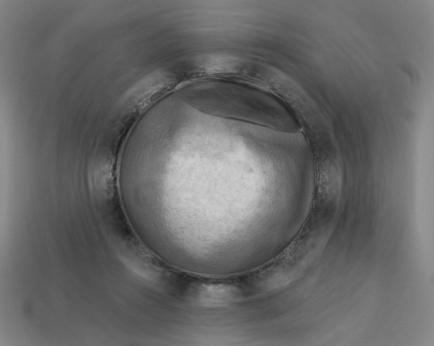 X0000113340360200910061002