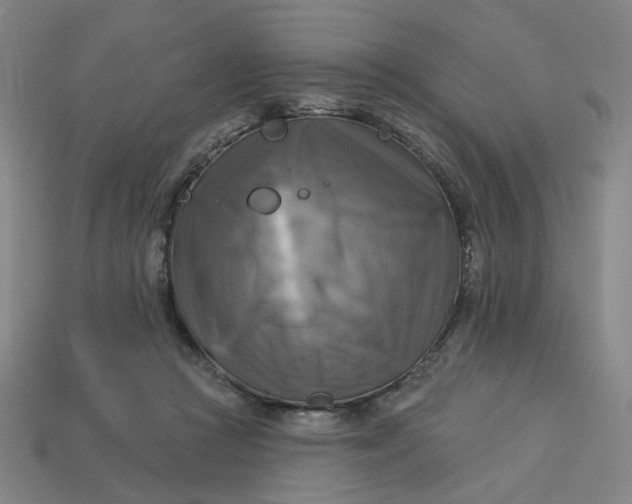 X0000113340361200910061003