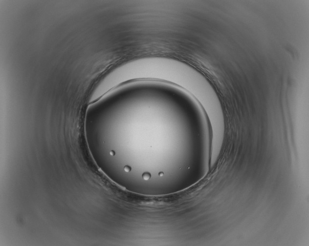 X0000113340362200910061003