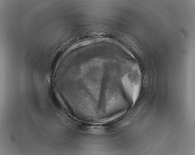 X0000113340363200910061003