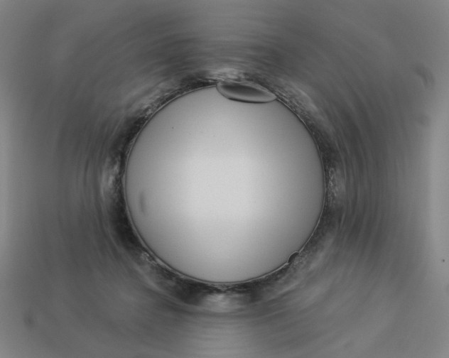 X0000113340364200910061003