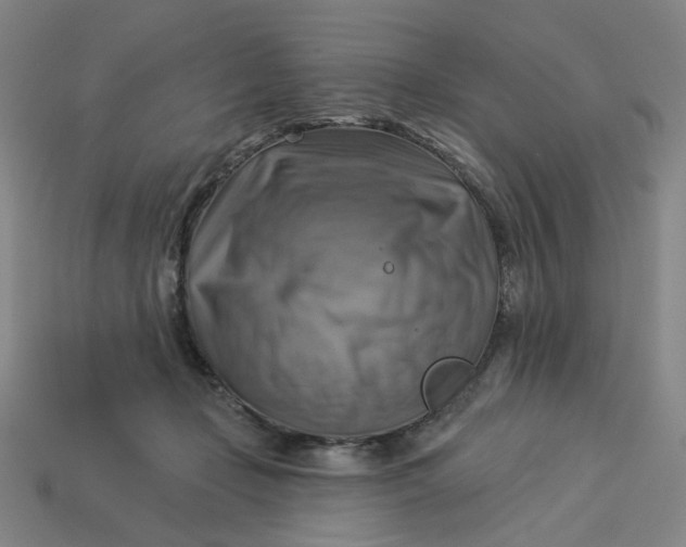 X0000113340365200910061003
