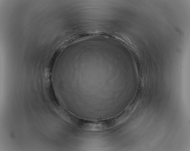 X0000113340366200910061003