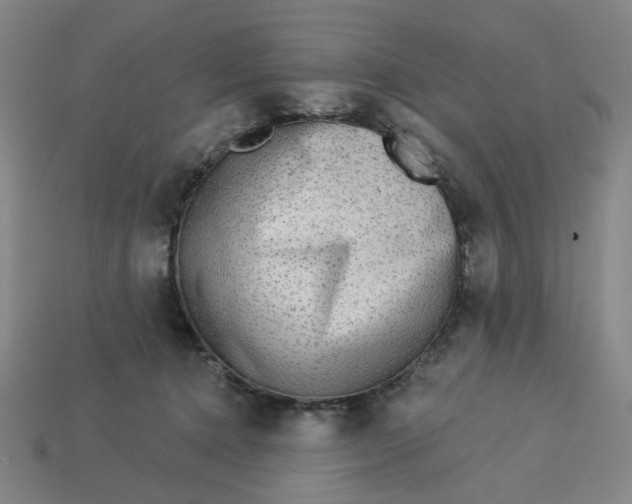 X0000113340368200910061003