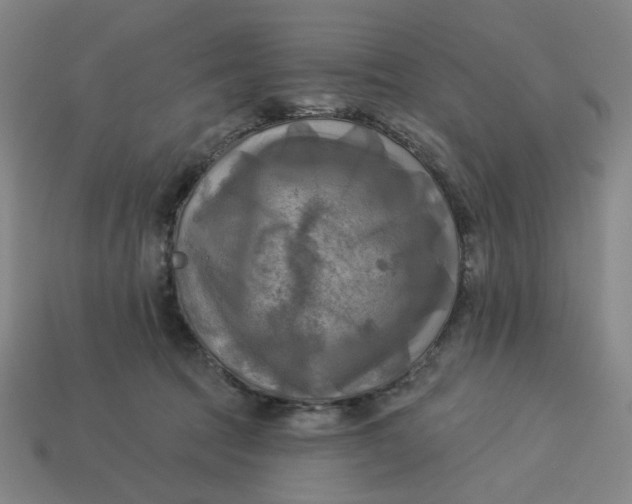 X0000113340369200910061003