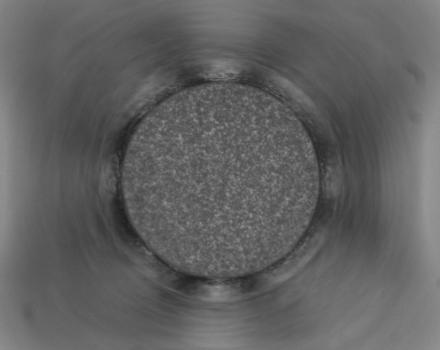 X0000113340370200910061003
