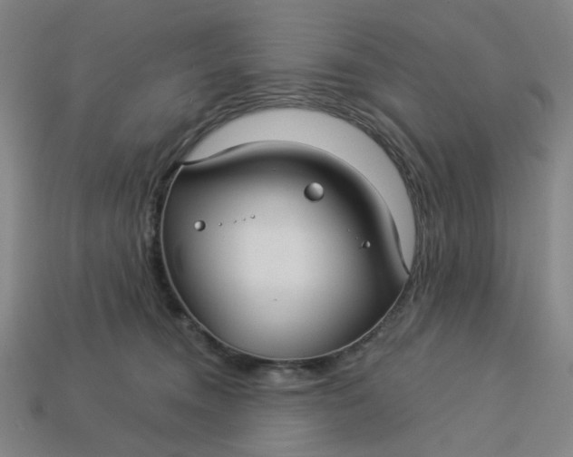 X0000113340372200910061003