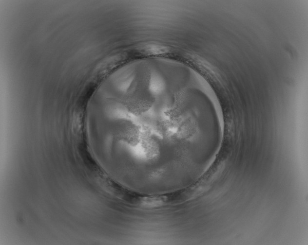 X0000113340373200910061003