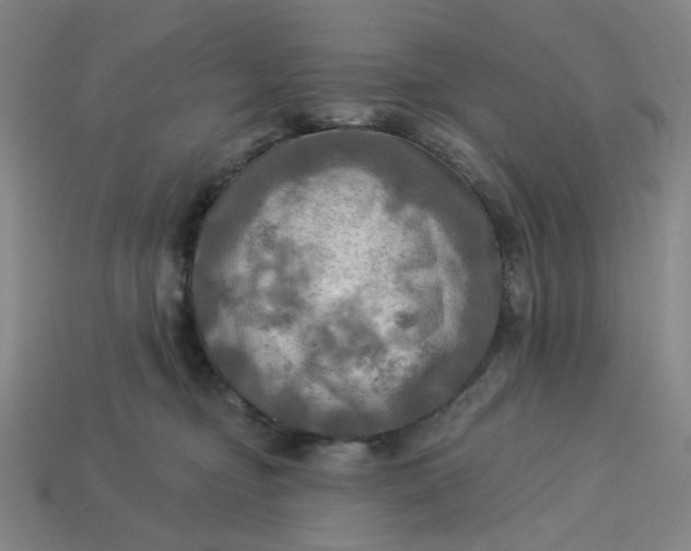 X0000113340374200910061003