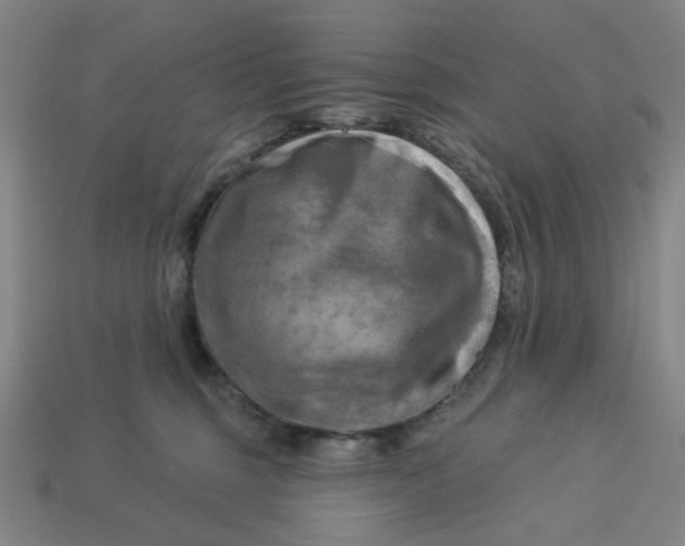 X0000113340375200910061003