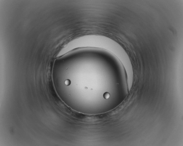 X0000113340376200910061003