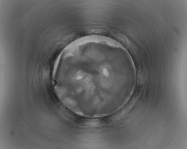 X0000113340377200910061003