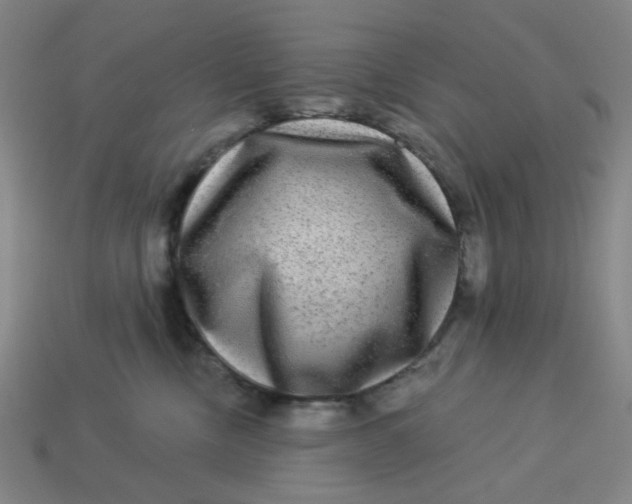 X0000113340378200910061003