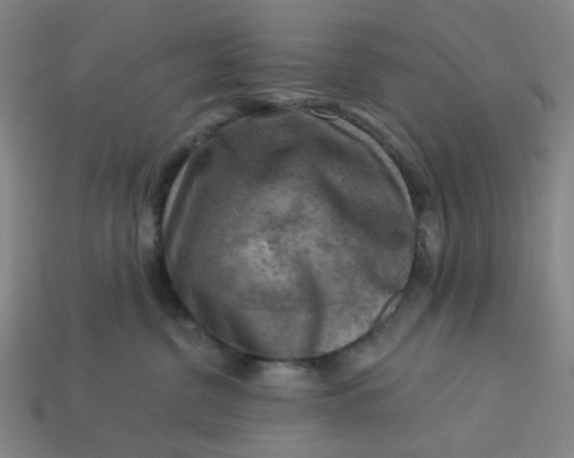X0000113340380200910061003