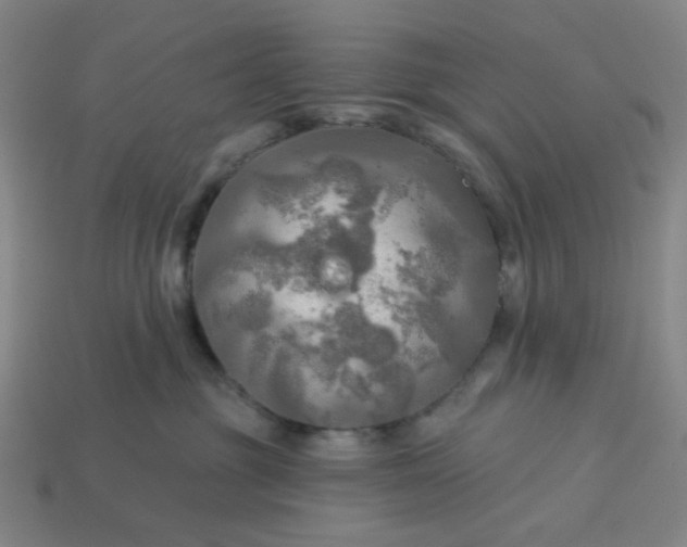 X0000113340381200910061003