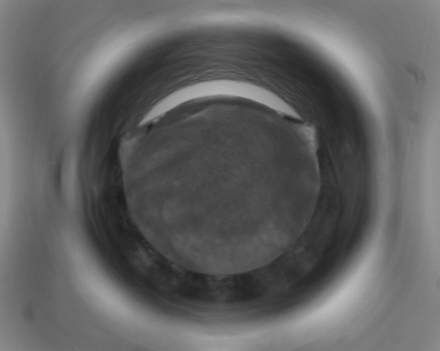 X0000113340382200910061003