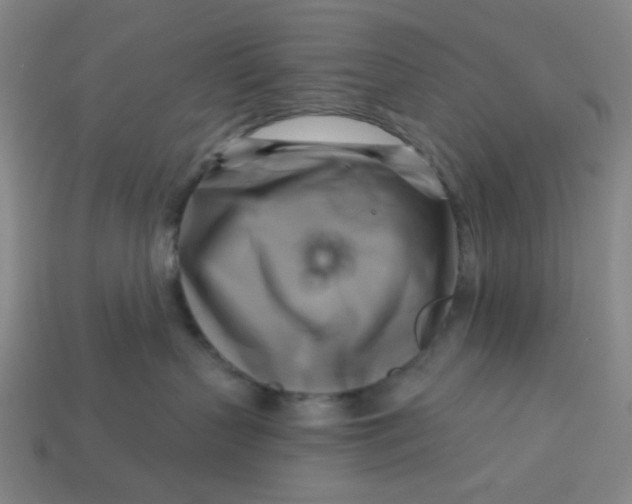 X0000113340383200910061003