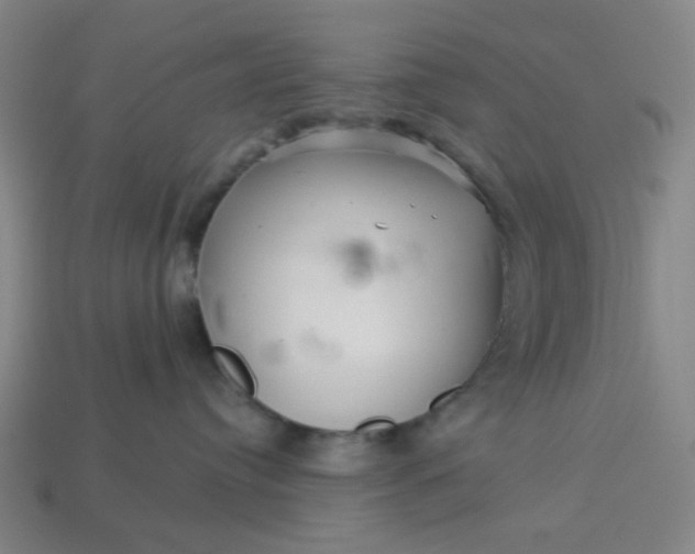 X0000113340384200910061003